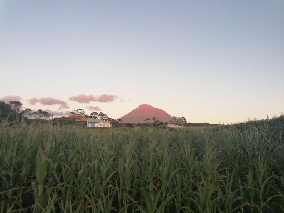 Dream View In Pico Villa Criacao Velha Bagian luar foto