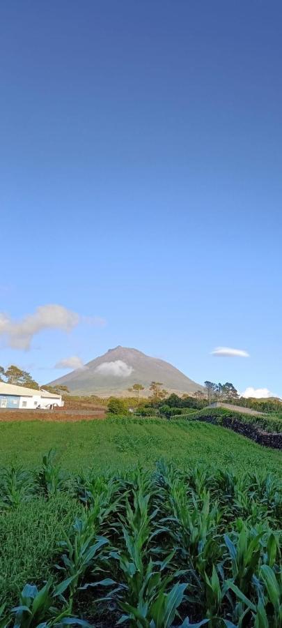 Dream View In Pico Villa Criacao Velha Bagian luar foto